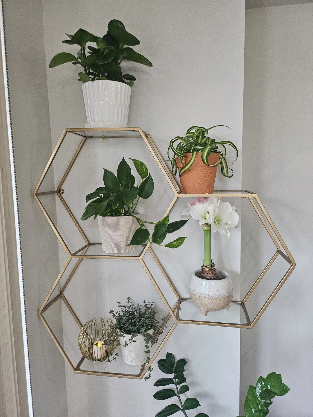Hexagon Wall Shelf - photo 3