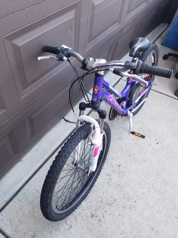 Schwinn Girls Purple Mountain Bike - 20" Wheels - photo 3