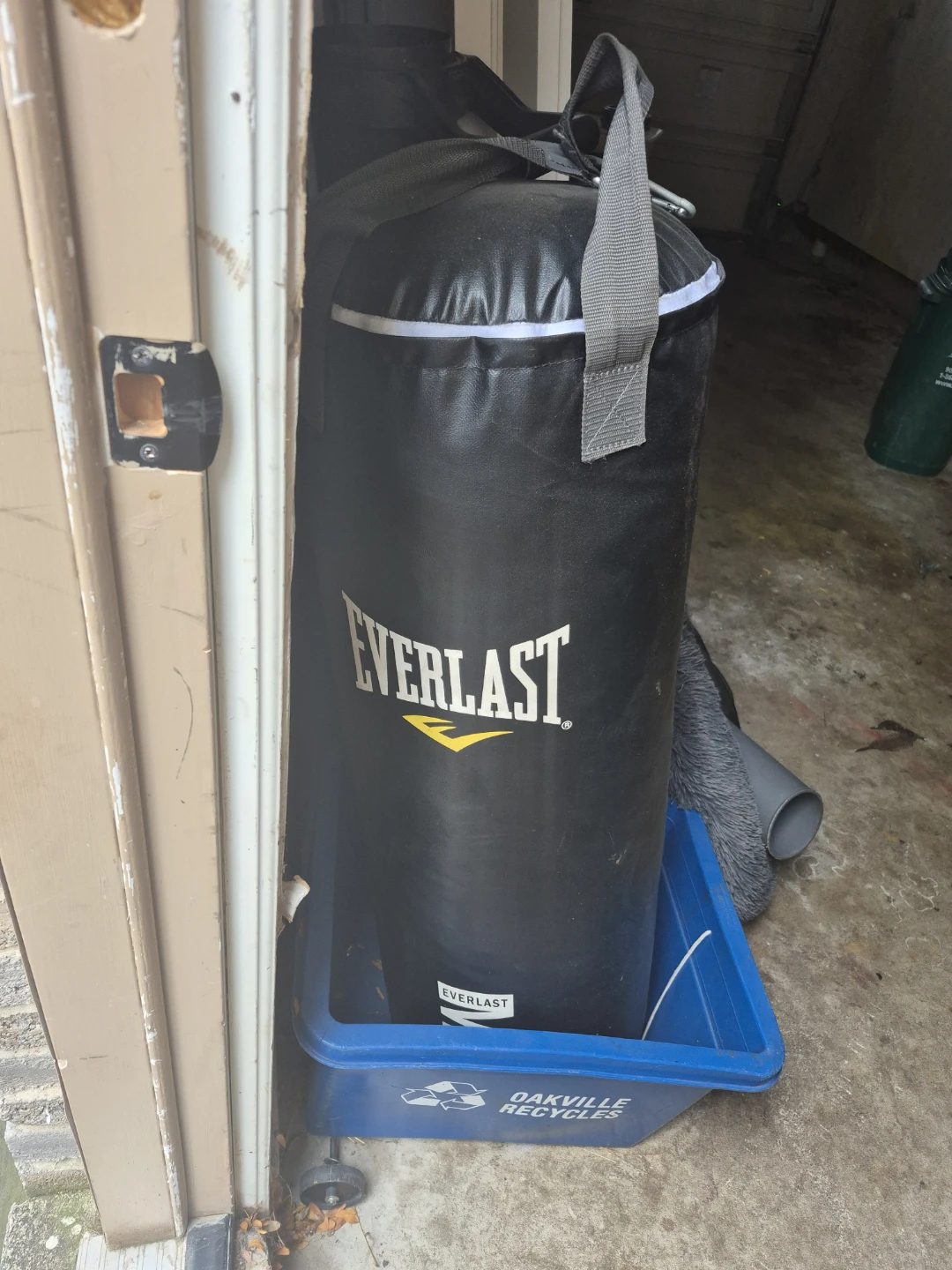 Everlast Punching Bag