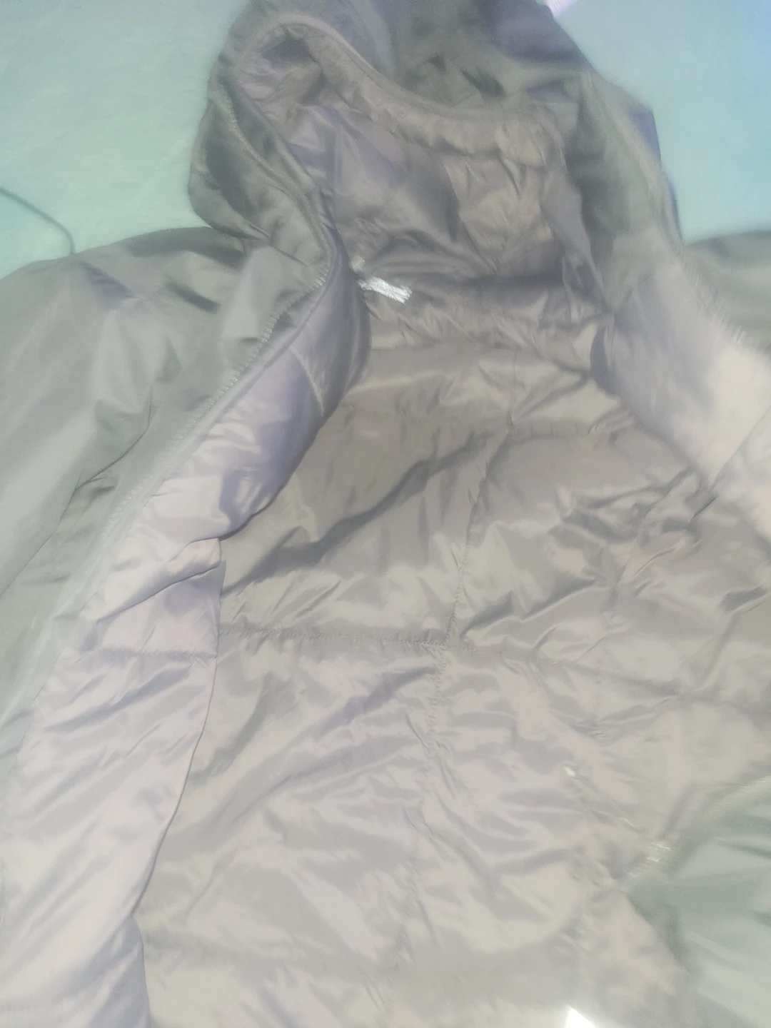 Arc'teryx atom Insulated Hooded Jacket