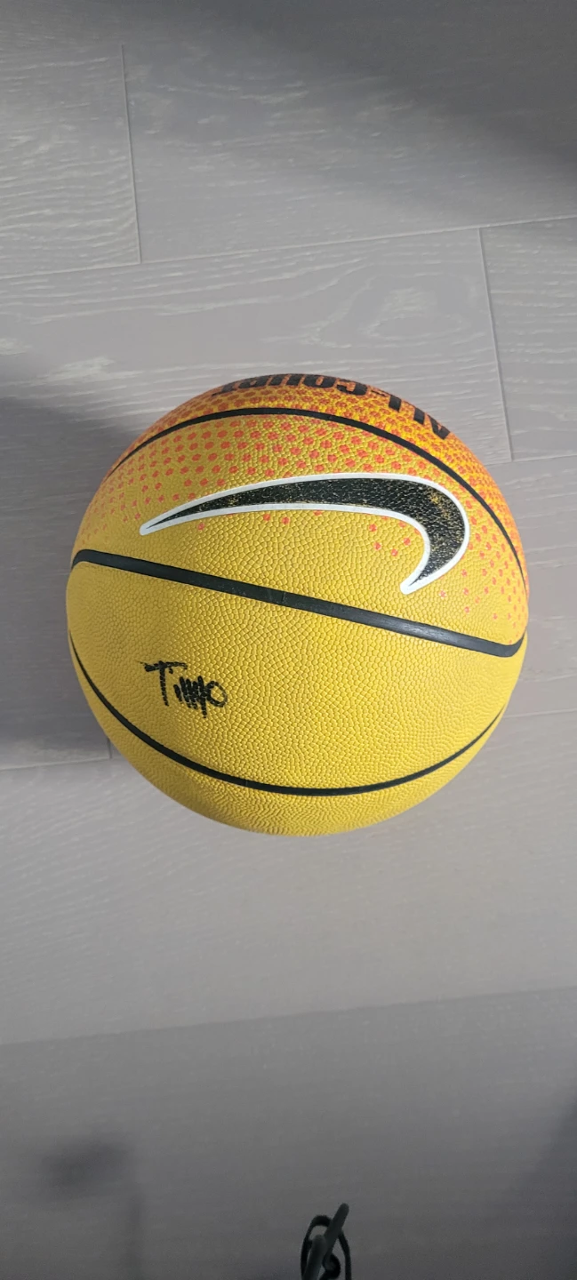 Nike All-Court Indoor Basketball