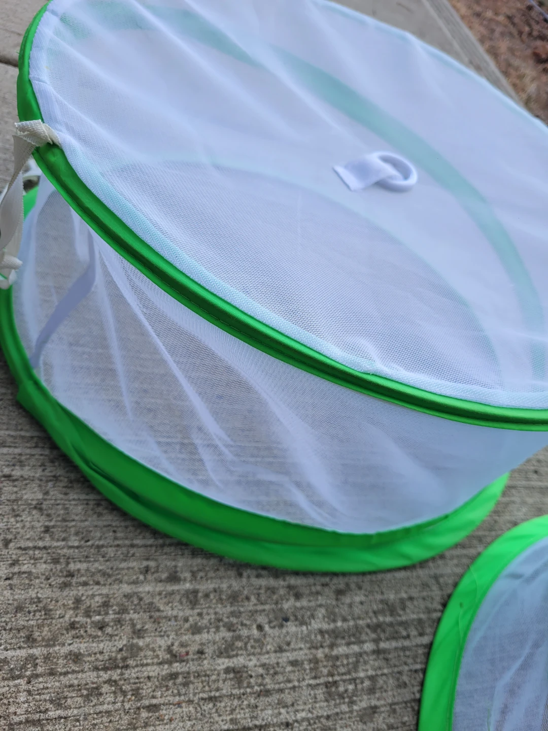 Food covering for outdoor picnics - photo 2
