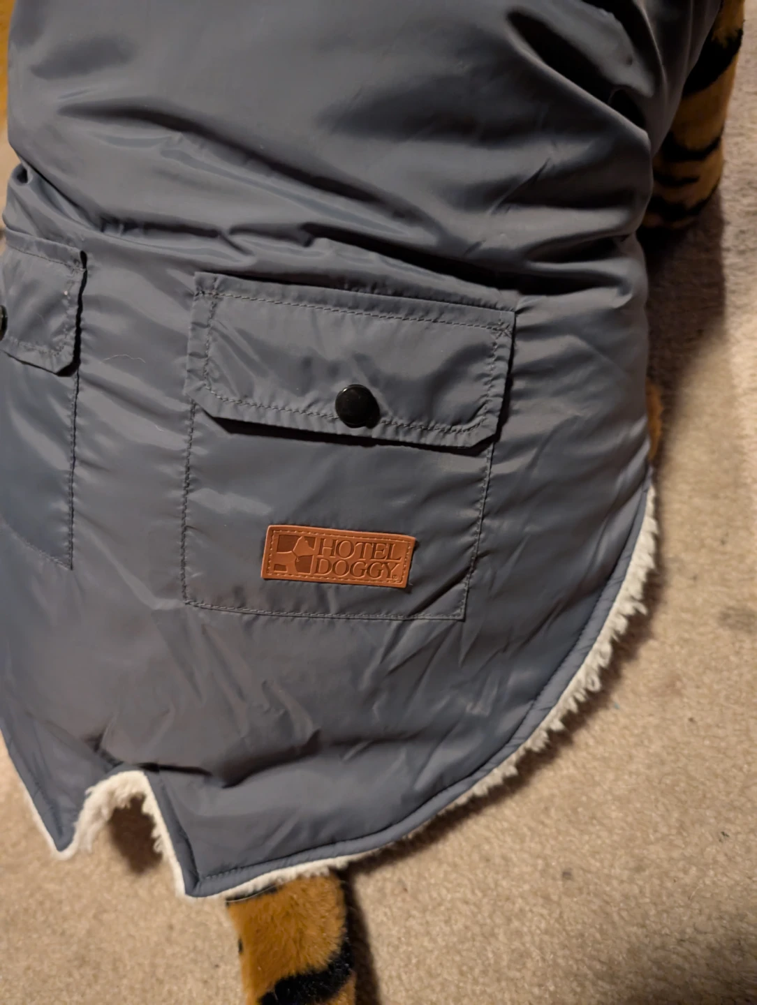 Hotel Doggy Dog Winter Coat - XL/TG - photo 3