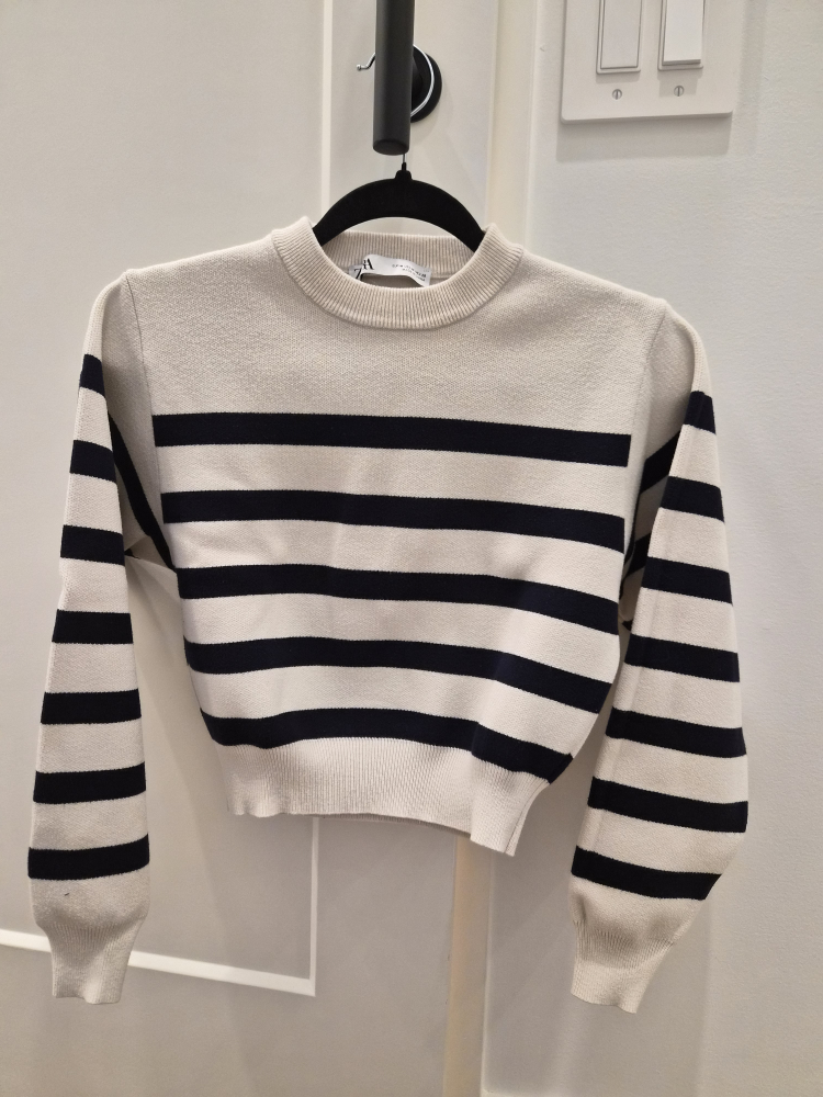 Zara Striped Sweater Size M