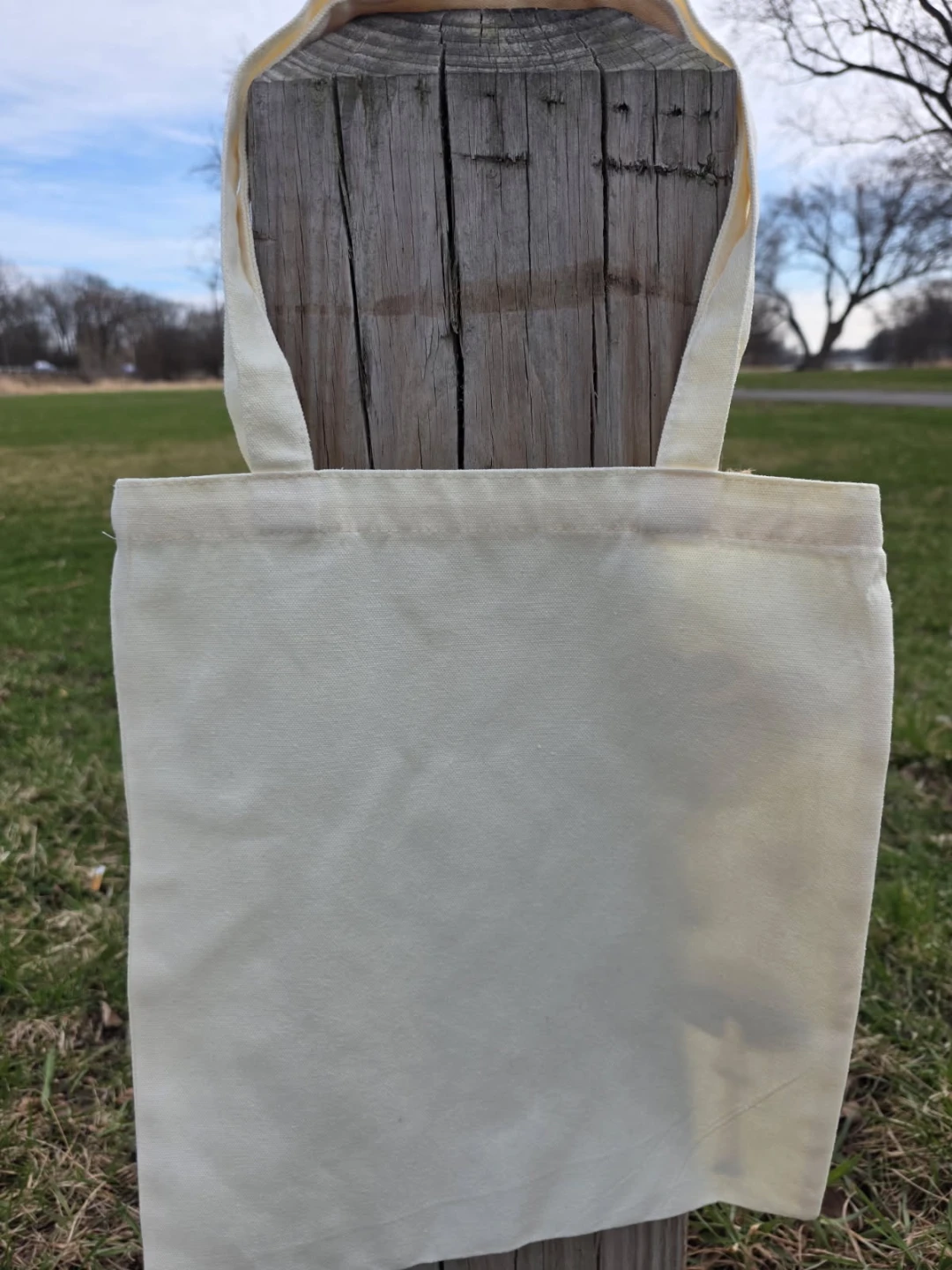 Mooshie Totes Canvas Tote Bag with Mushroom Print - photo 4