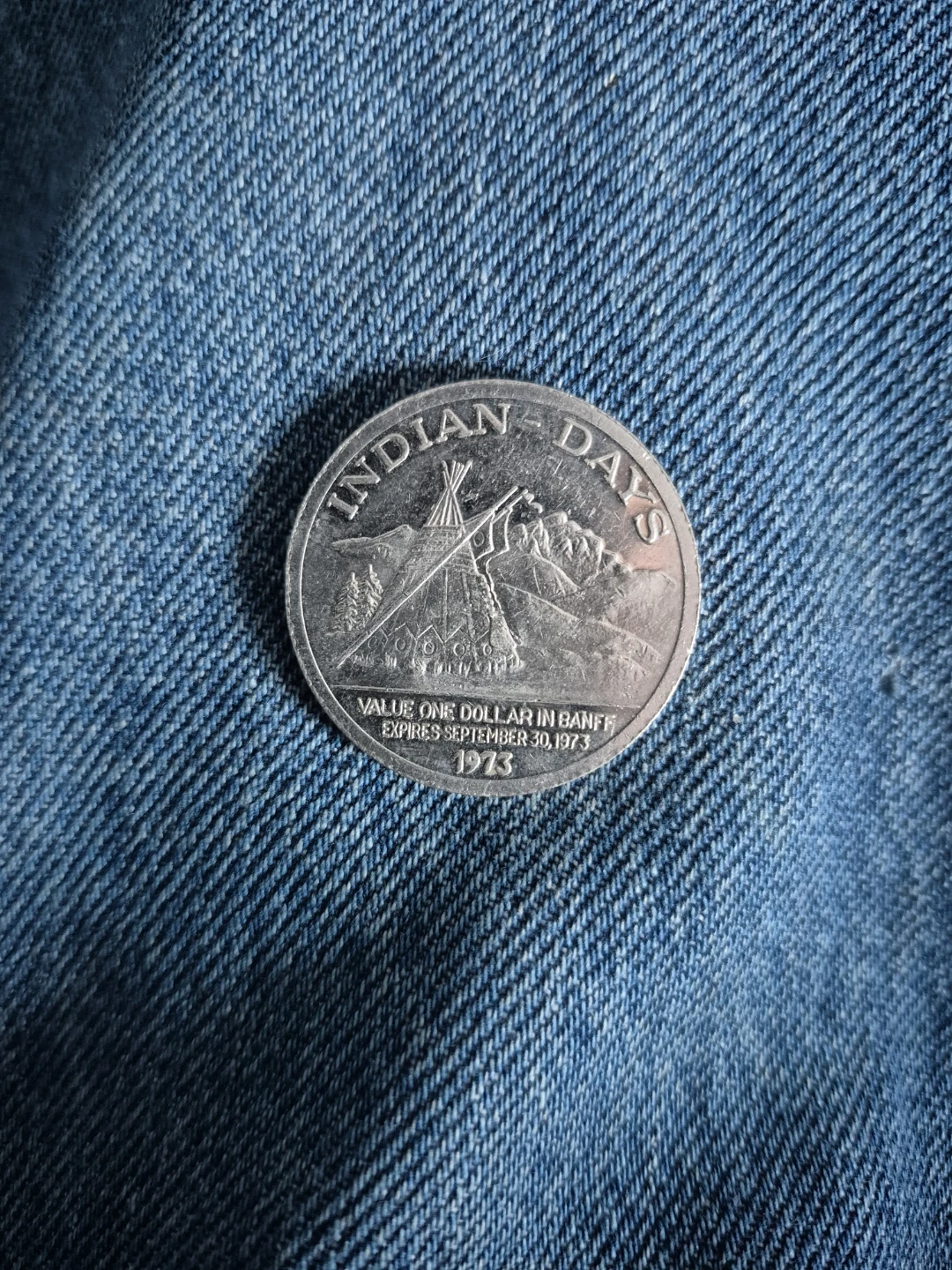 1973 Banff festival dollar - photo 2