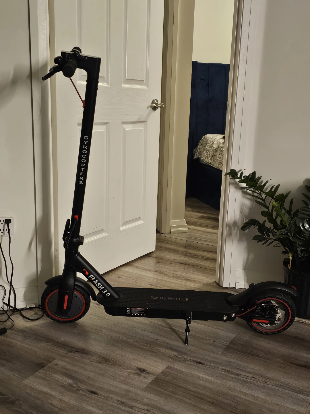 GyrosCoosters Flash 3.0 Electric Scooter
