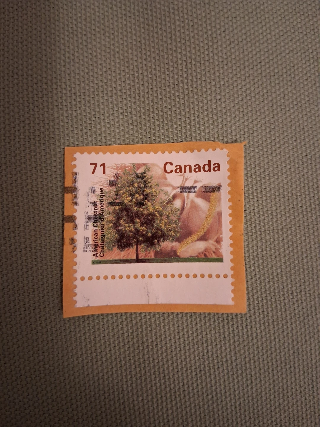 1995 71¢ American Chestnut Canada Postage Stamp
