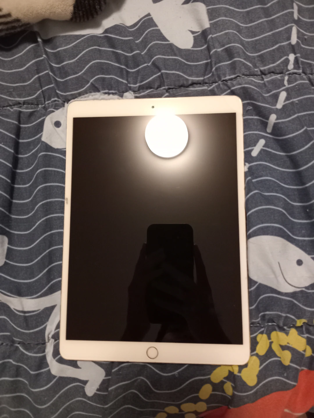 Apple iPad - photo 3