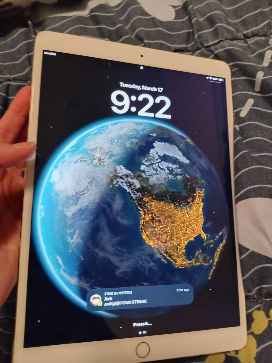 Apple iPad - photo 4