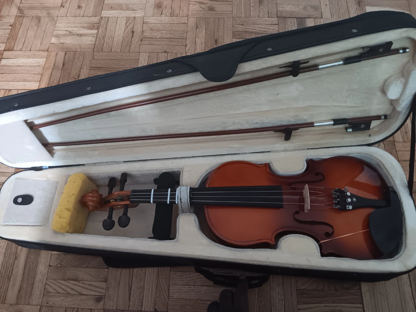 Cecilio Violin with Case and Bow