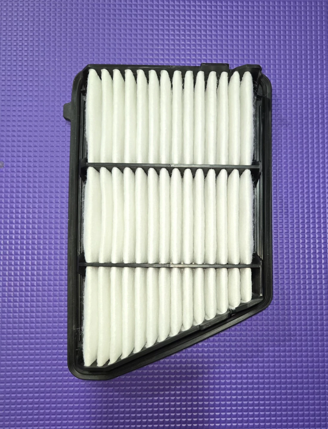 FRAM Engine Air Filter 12259 - photo 2