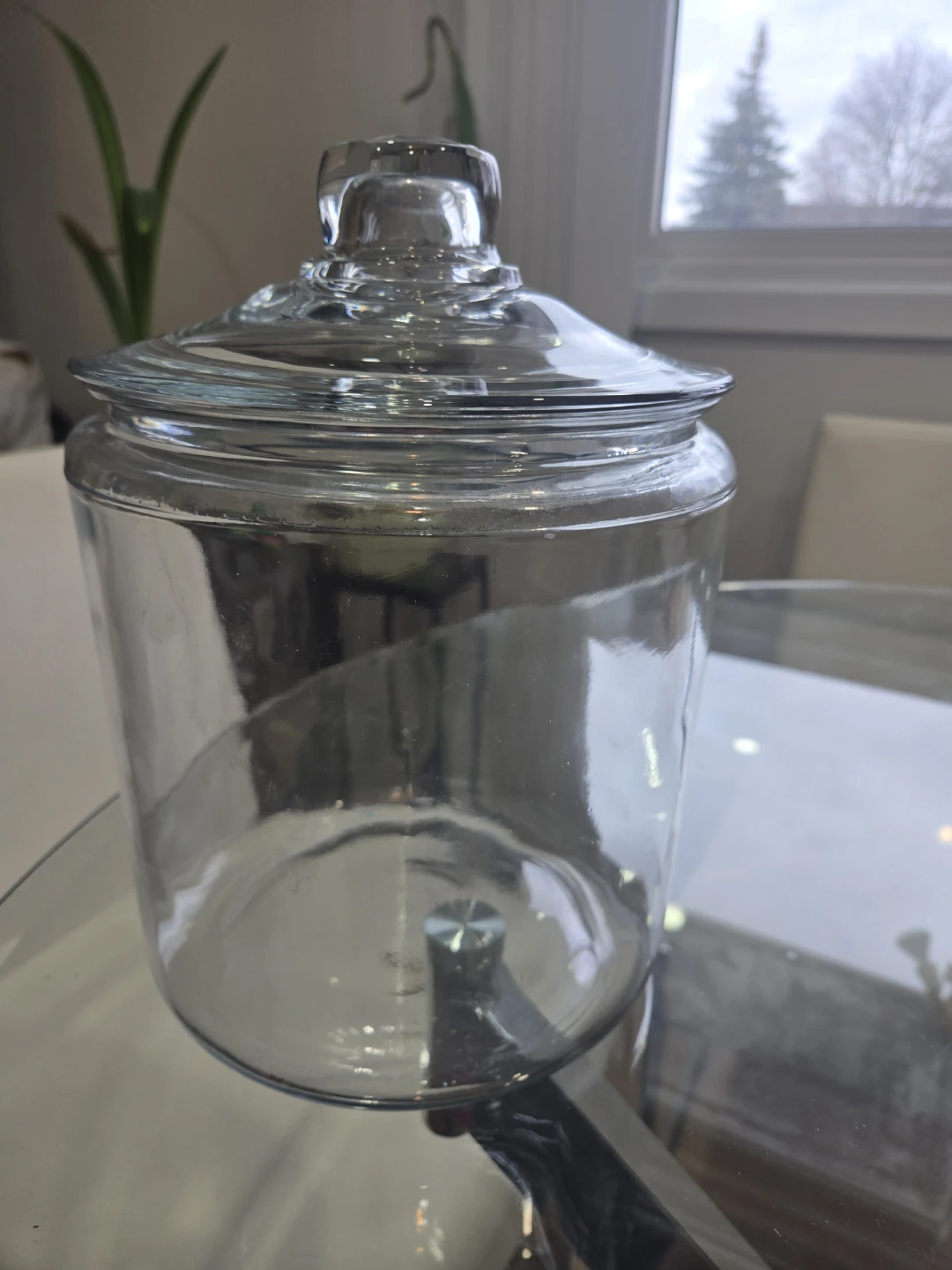 Glass Jar with Lid