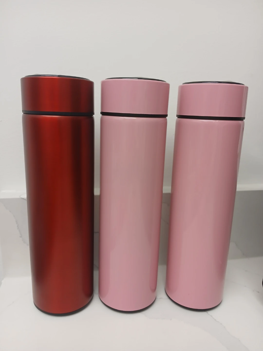 Stainless Steel Water Bottles
