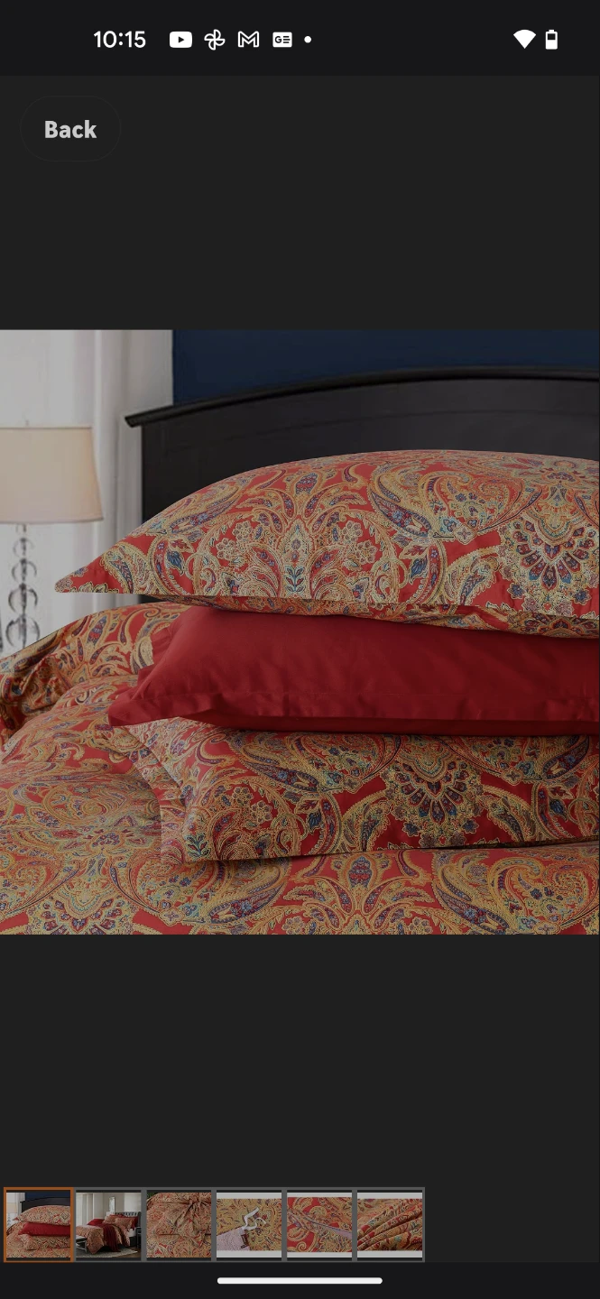 King Paisley Bedding Set - photo 2