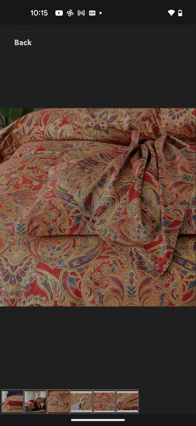 King Paisley Bedding Set - photo 3