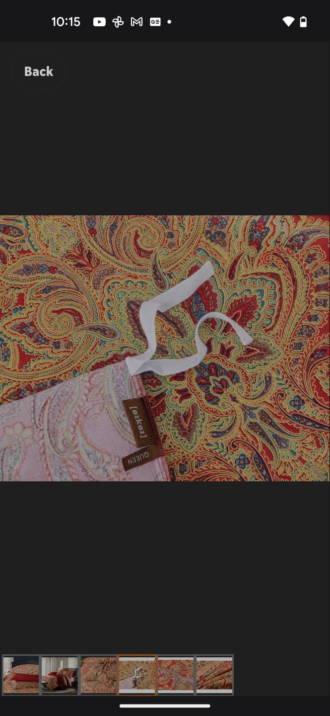 King Paisley Bedding Set - photo 4