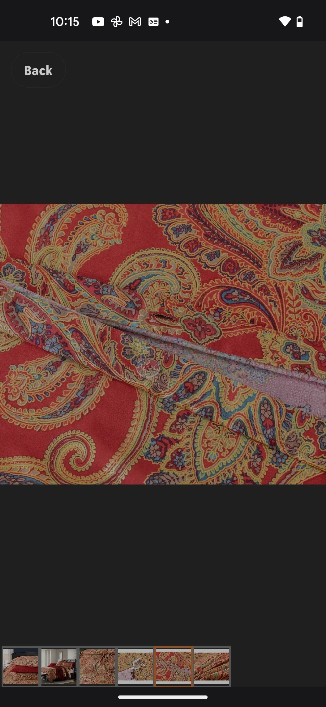 King Paisley Bedding Set - photo 5