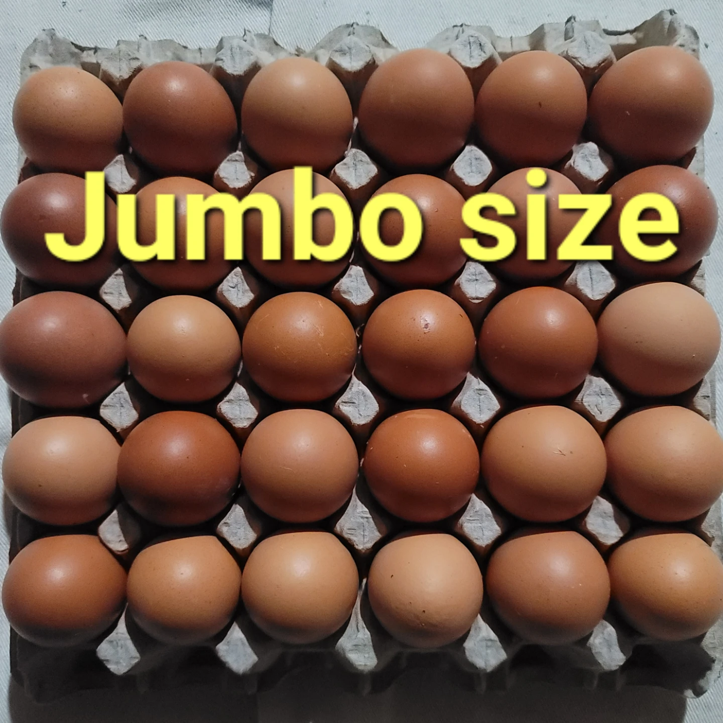 Jumbo Brown Eggs