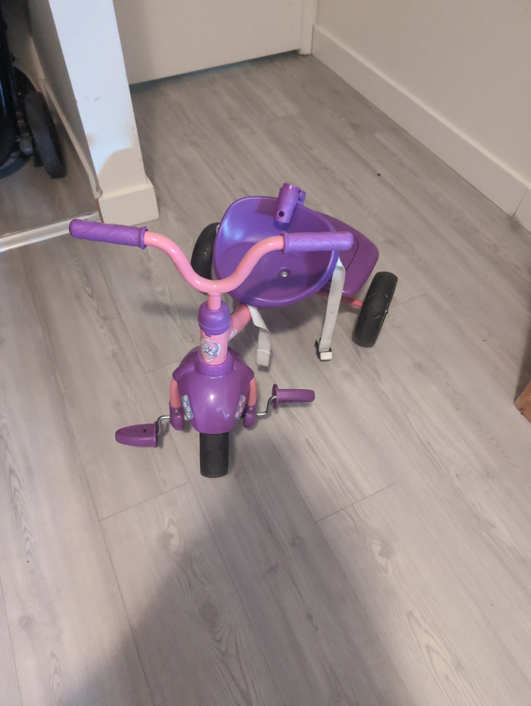 Smartrike Tricycle