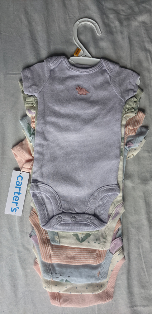 Newborn Carter's Baby Bodysuits - 6 in the Pack