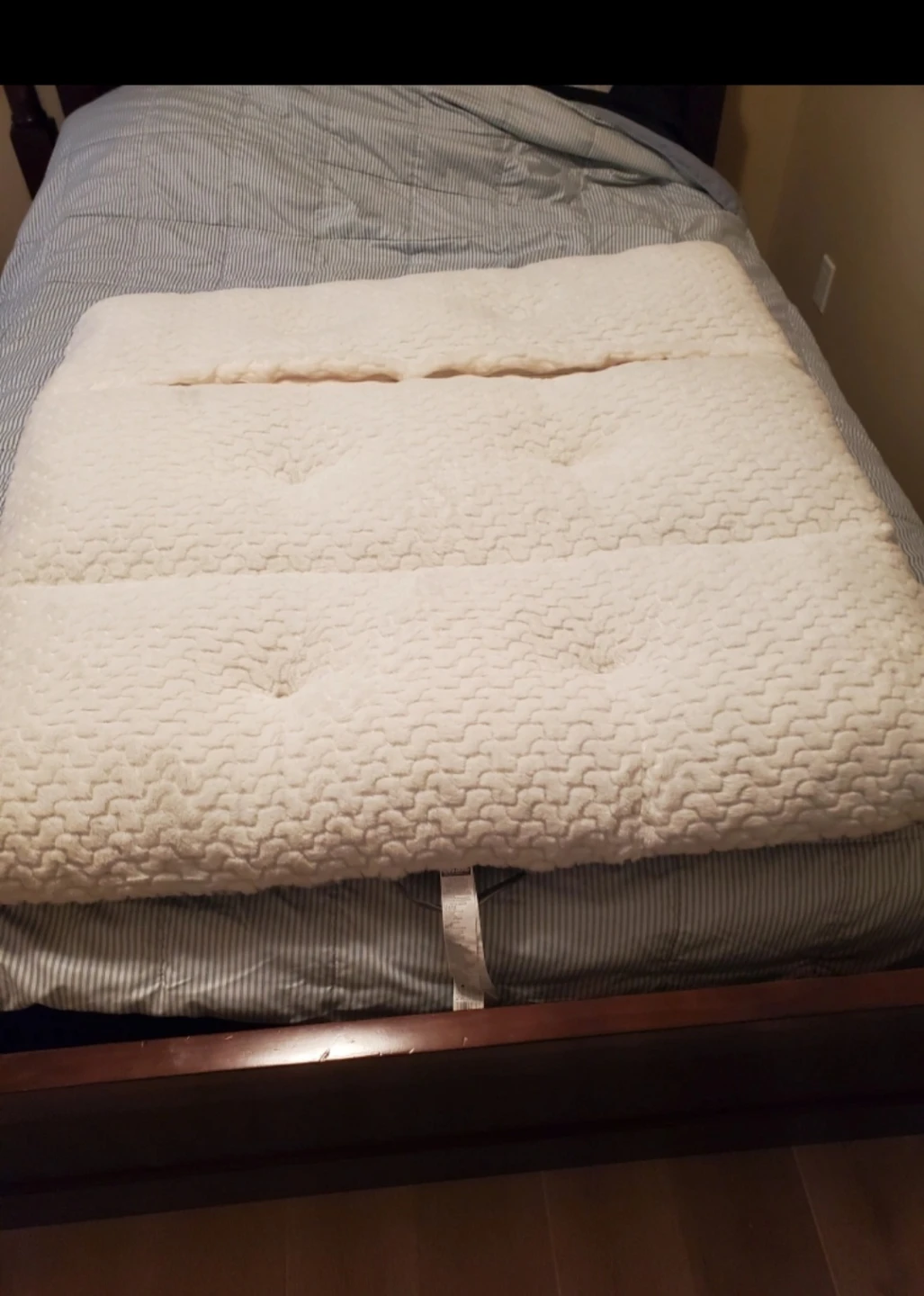 Dog bed by Kirkland.