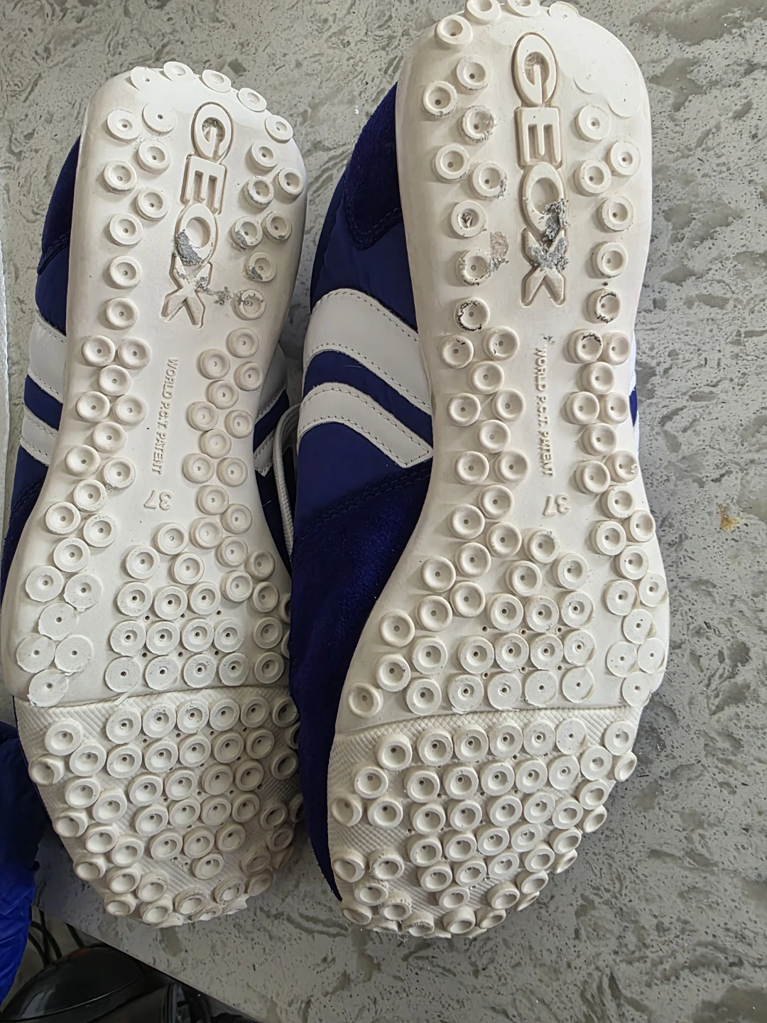GEOX Blue and White Sneakers - Size 37 - photo 2