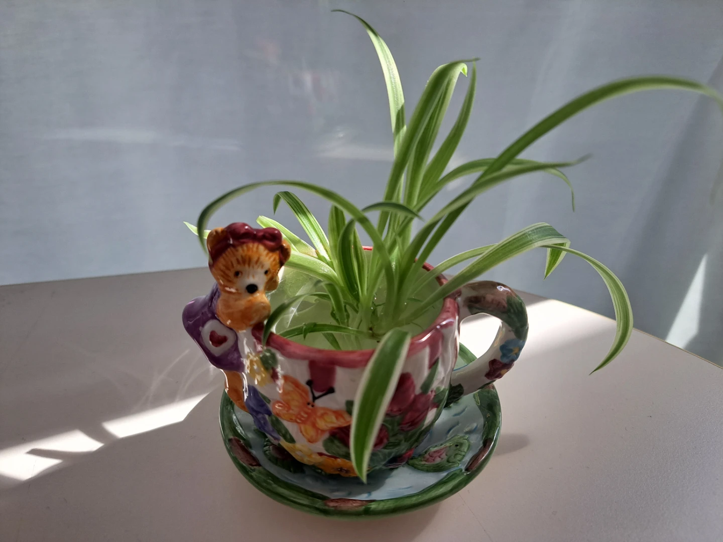 Cute Teddy Bear Teacup Planter with Spider Plant