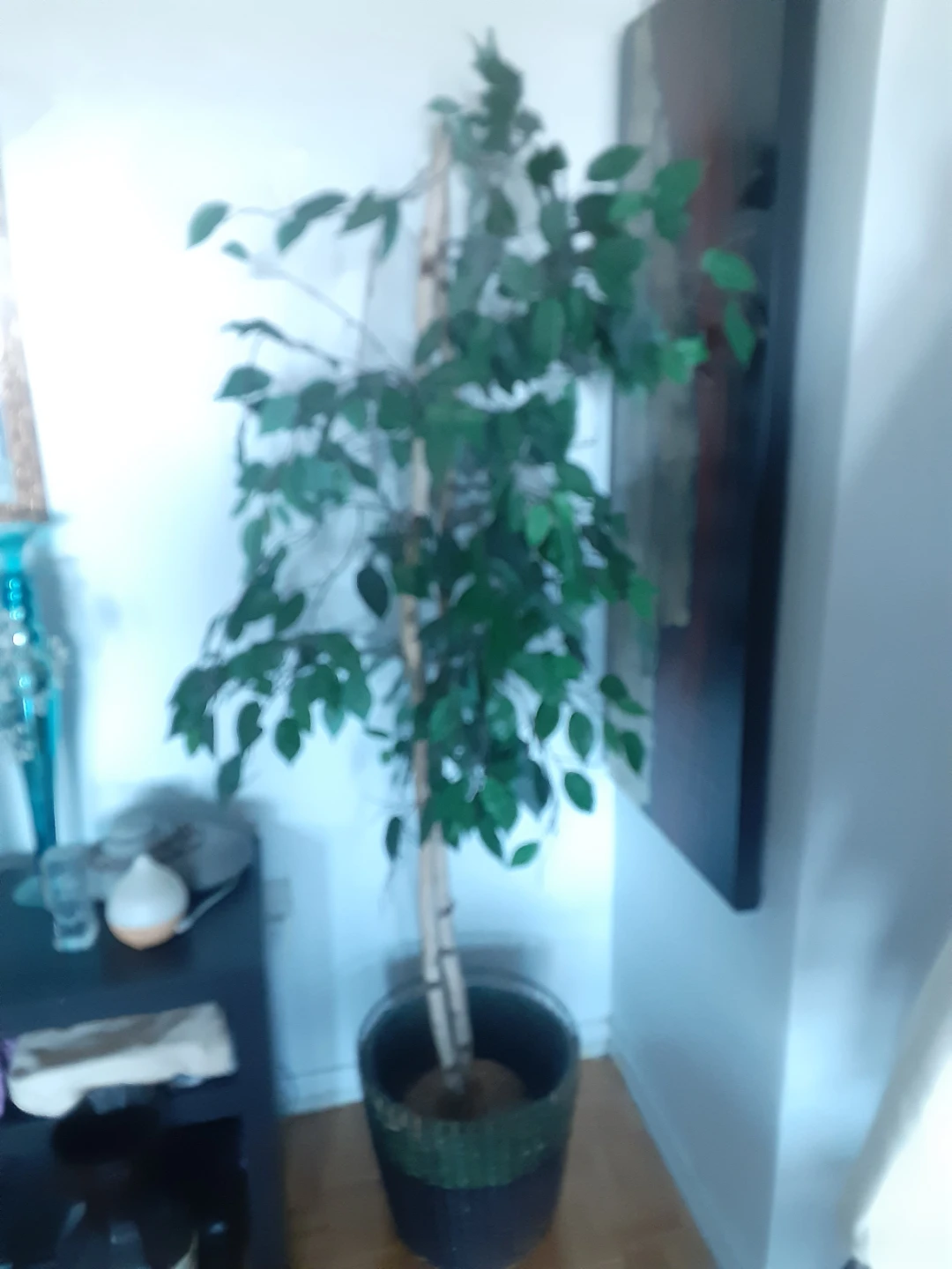 Artificial Ficus Tree - photo 2