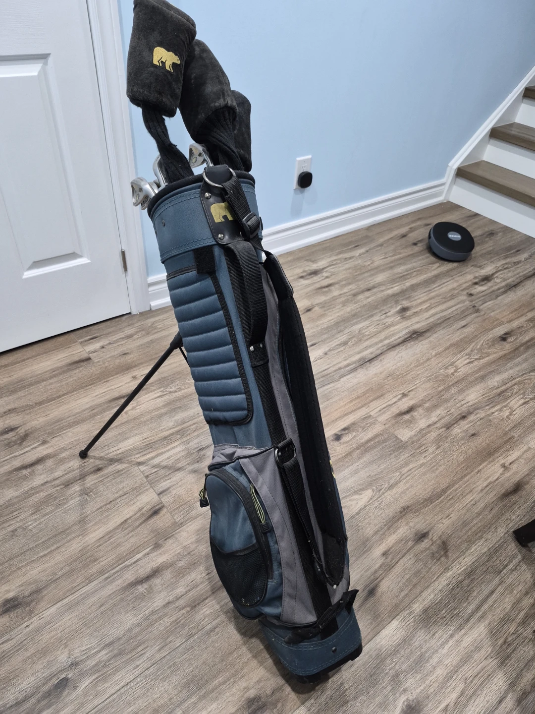 Golden Bear Golf Club Set with Stand Bag - photo 4