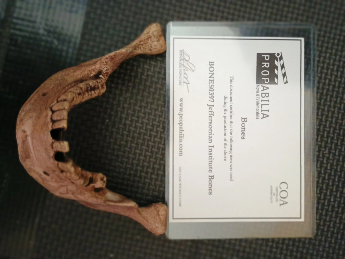 Propabilia Jeffersonian Institute Bones Prop