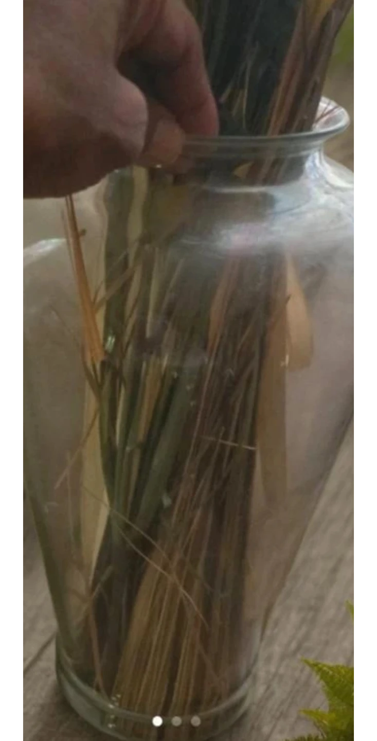 🥕Large Glass Vase with Dried Grass Arrangement