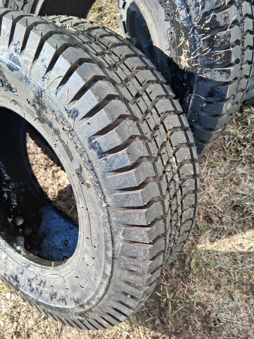 20x10.00-8 6 PLY Trailer Tire