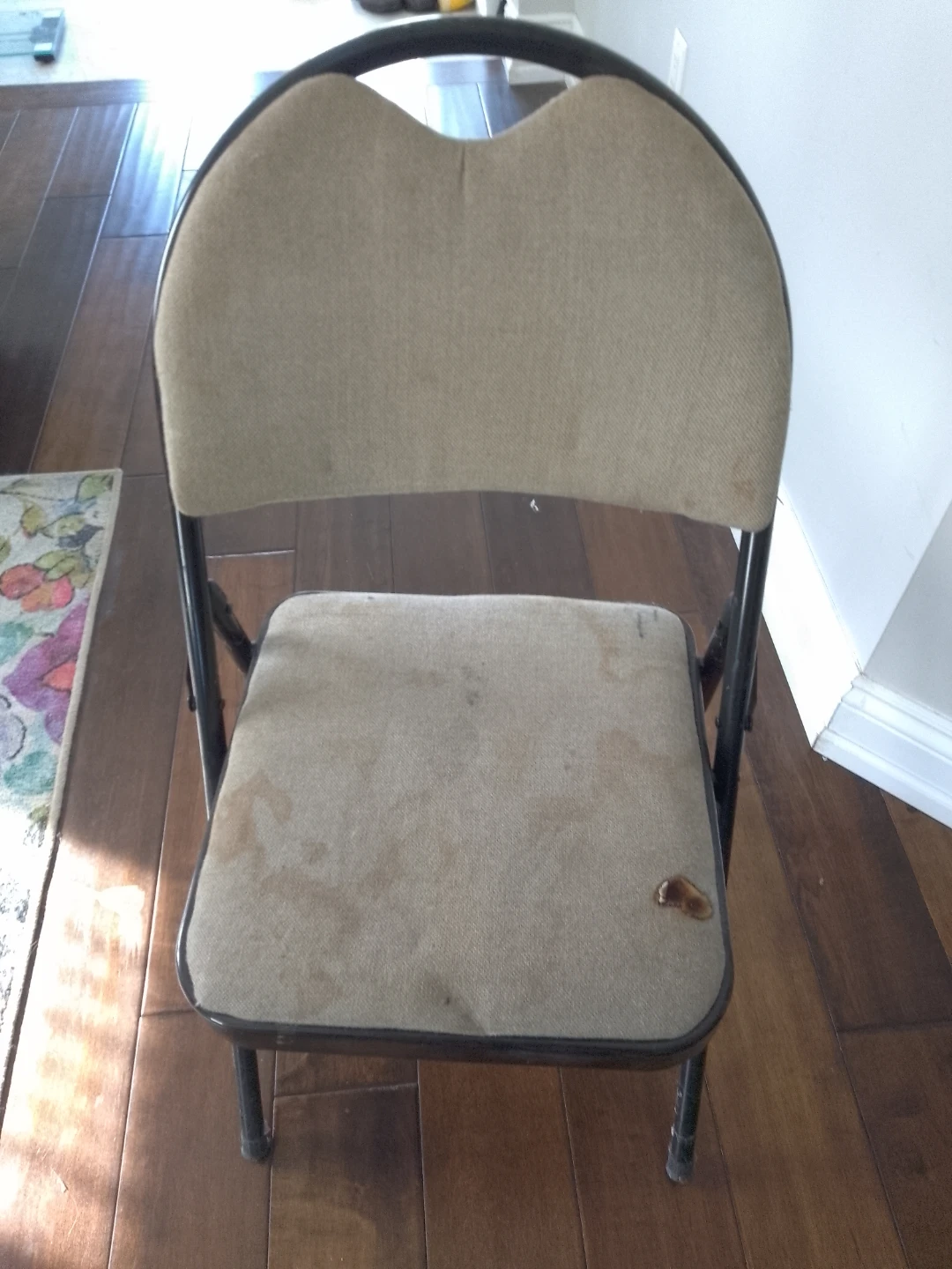Folding Chair 🥕