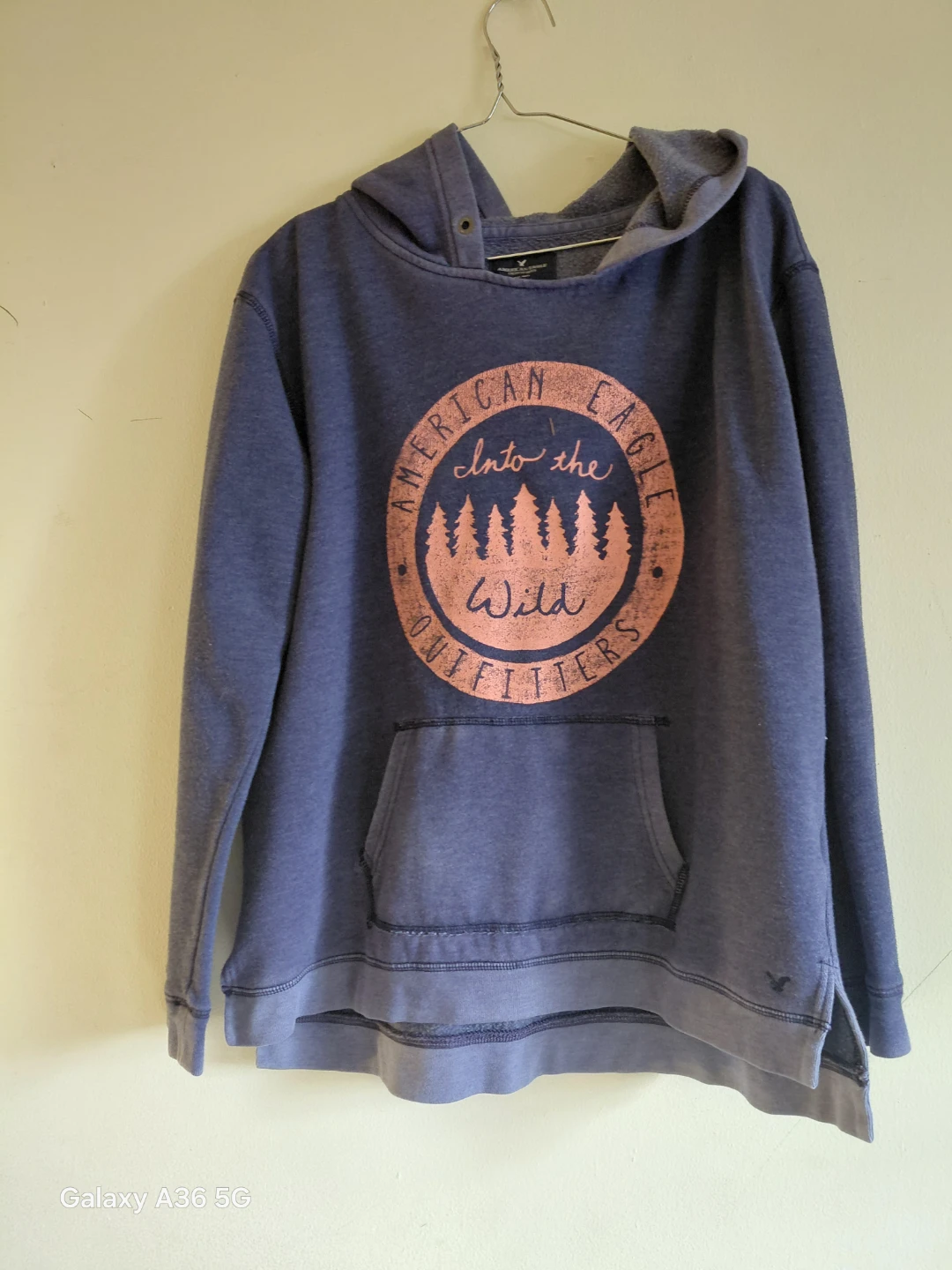 American Eagle Outfitters Into the Wild Hoodie