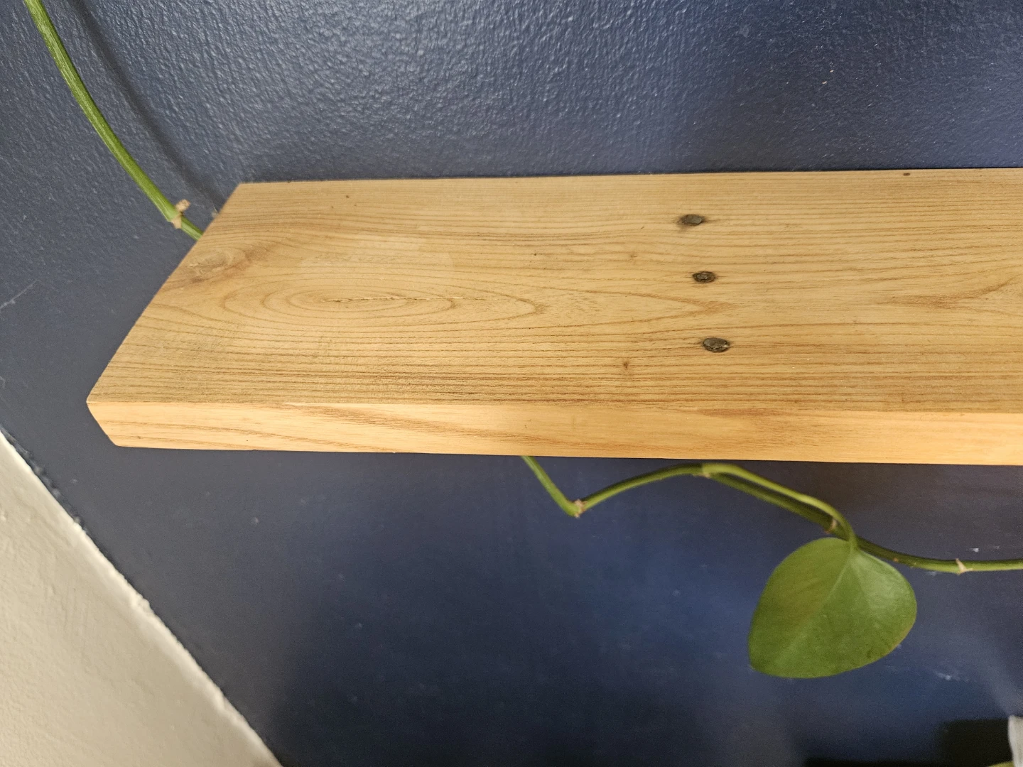 3 Wooden Shelves (plants not included) - photo 2