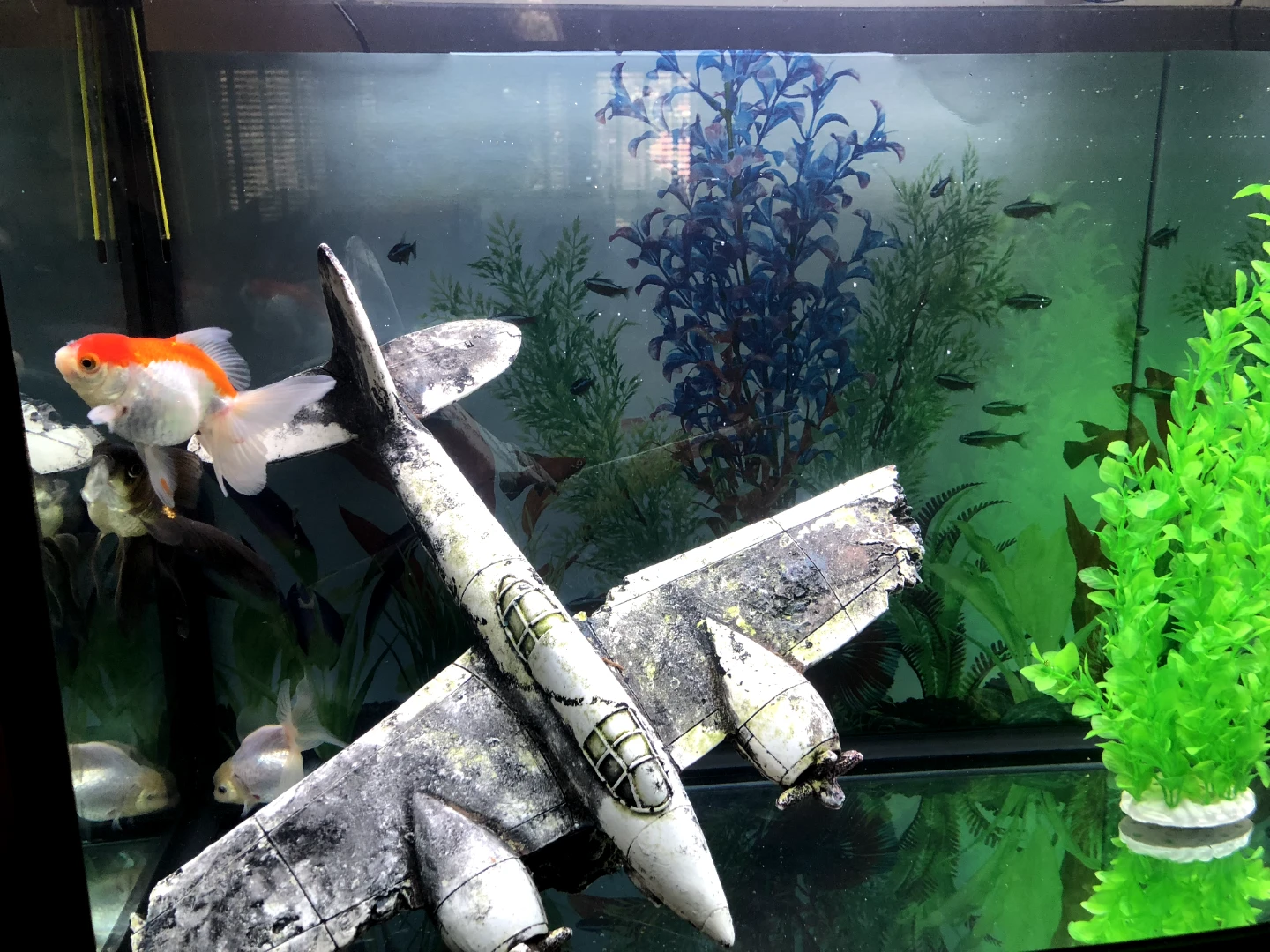 Aquarium Crashed Airplane Decor - photo 3