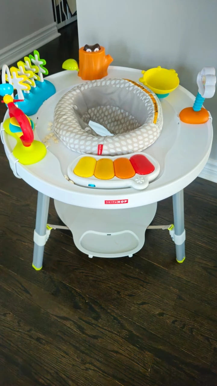 Skip Hop Explore & More Activity Center