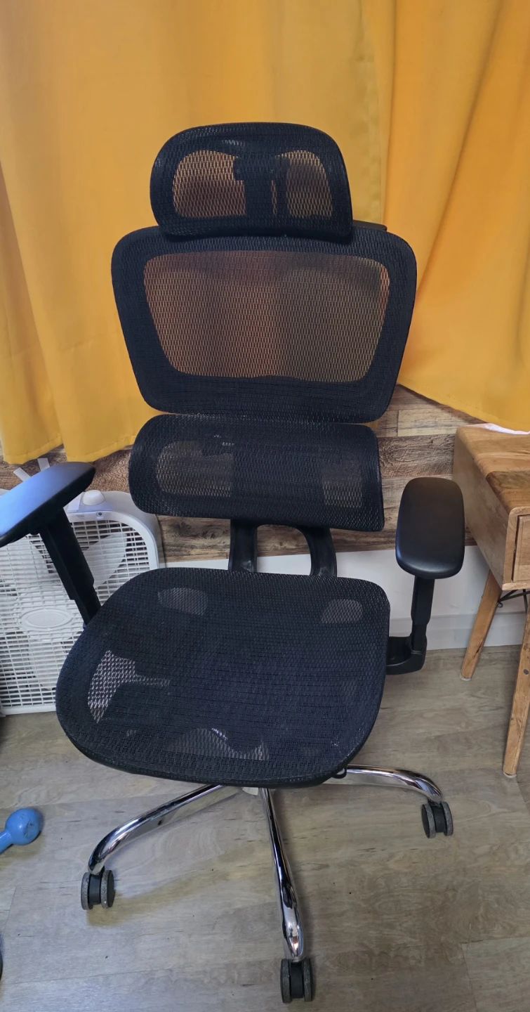Ergonomic Mesh Office Chair with Headrest