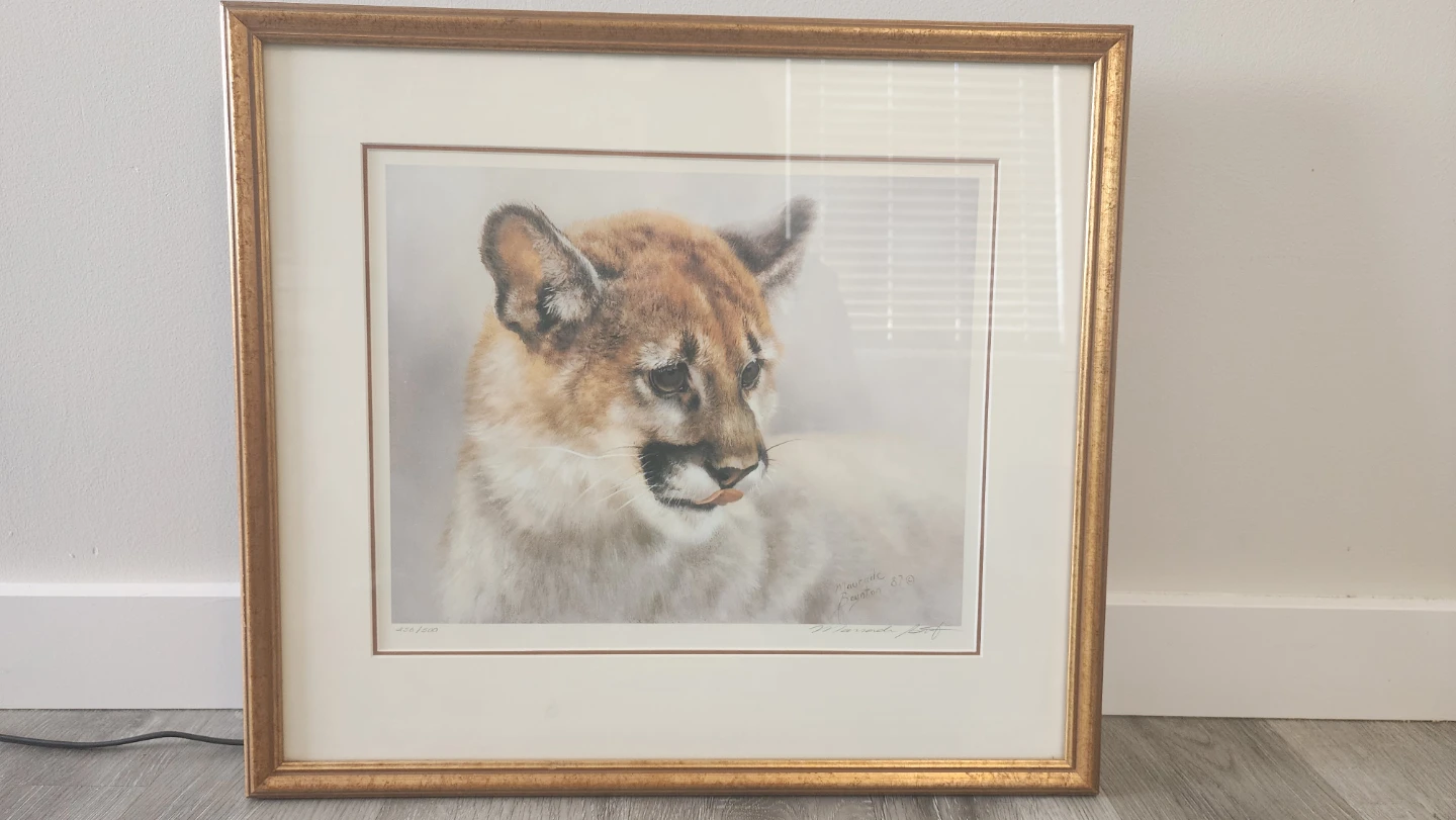 Maudrade Baynton "Mountain Lion Cub" Limited Edition 256/500