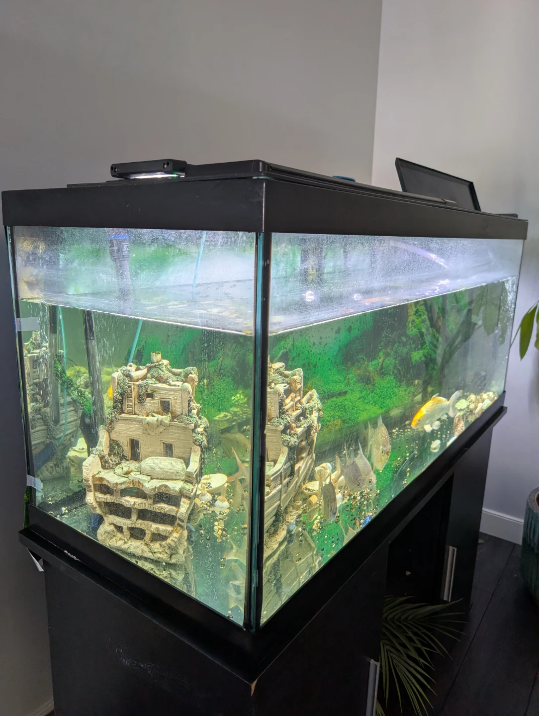 75 Gallon Aquarium with Stand - photo 3