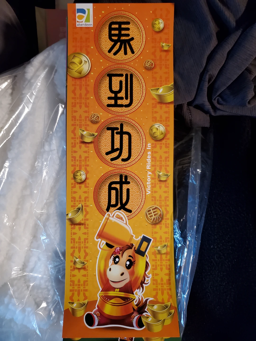 Aberdeen Victory Rides In Banner scroll