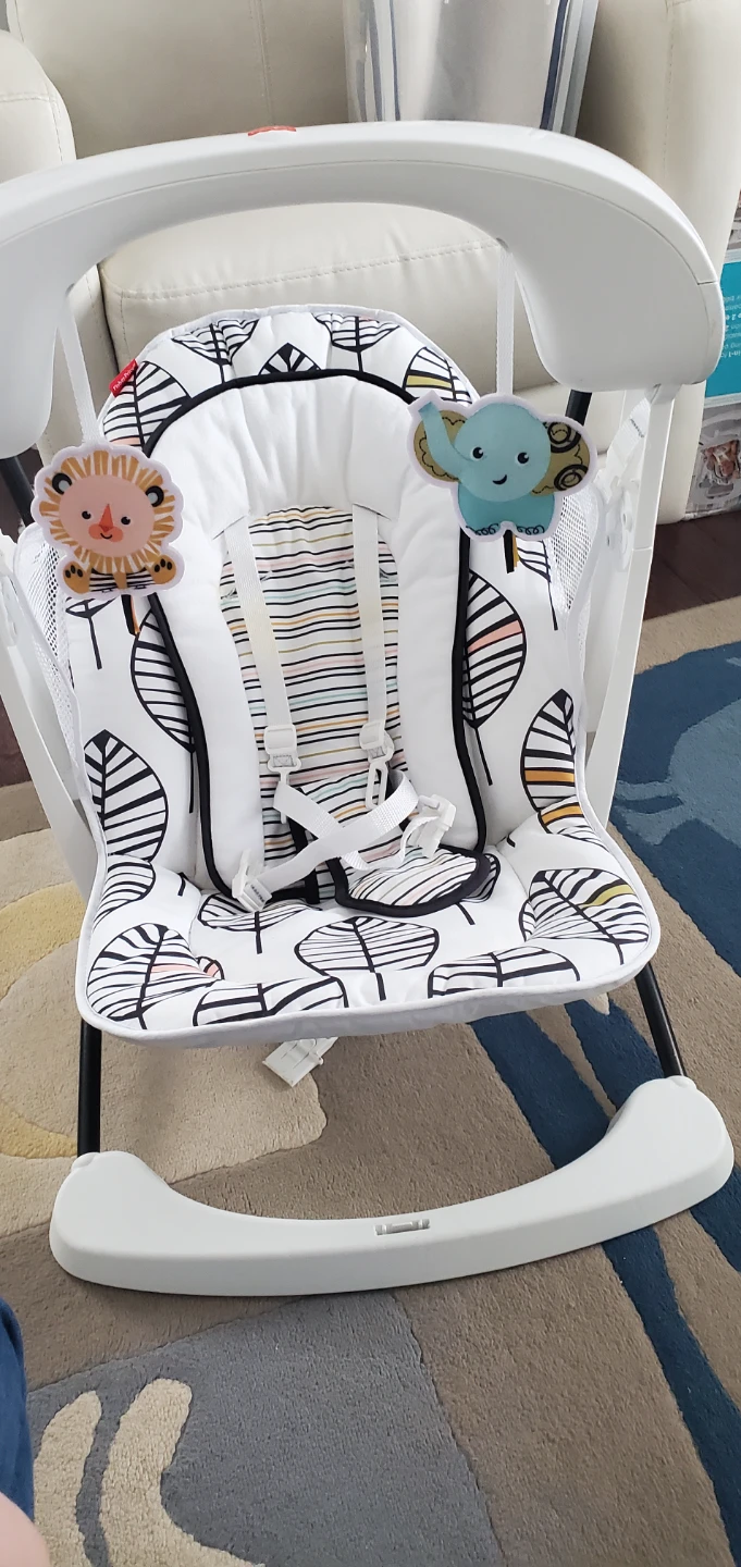 Fisher-Price Deluxe 2-in-1 Swing & Seat - photo 2