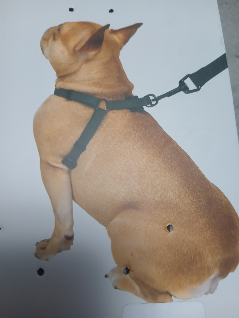 South Paw Silicone Walking Set - L/XL - photo 2
