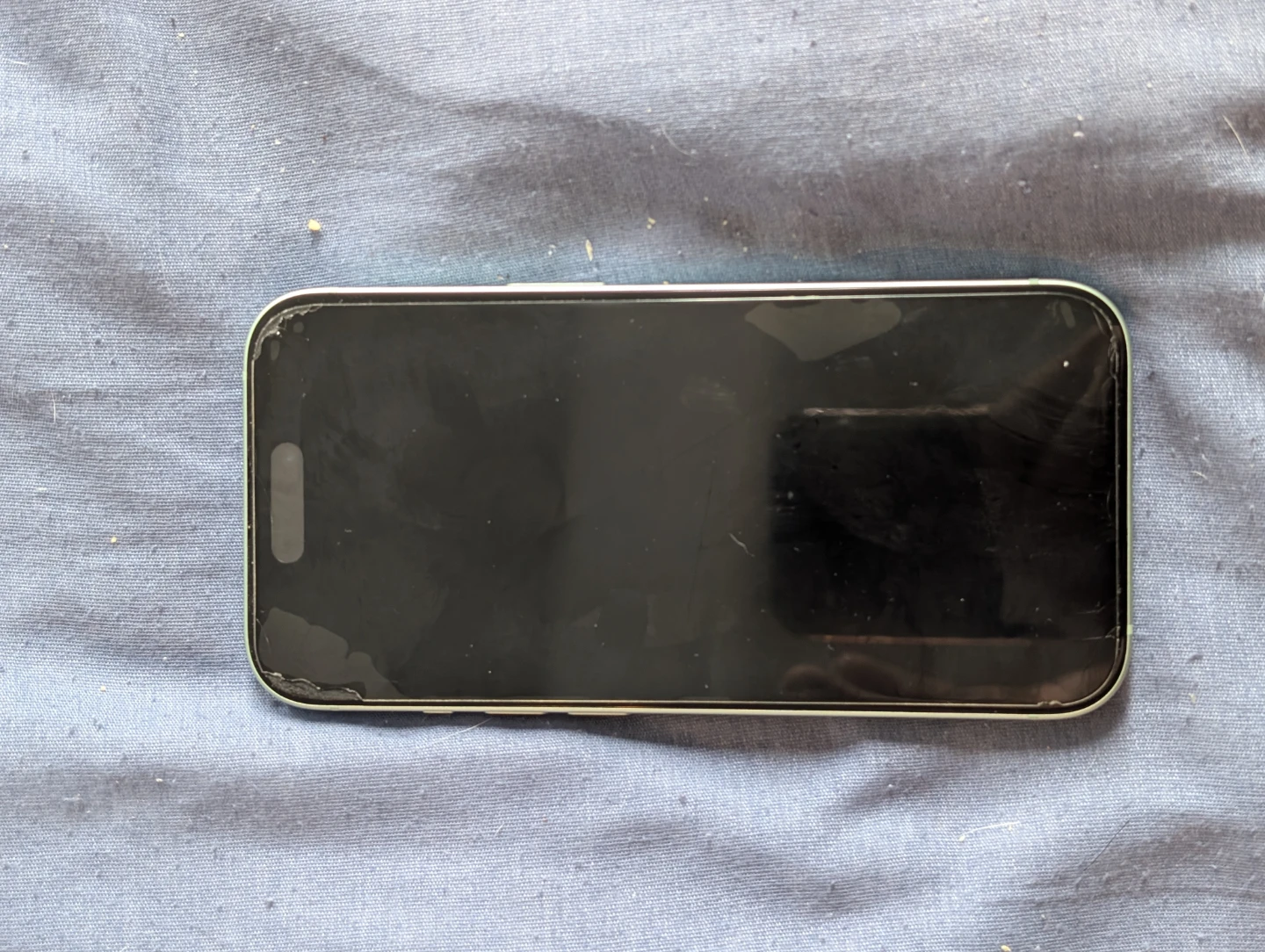 iPhone 15 with screen protector-this is "Better Than New." 🌿