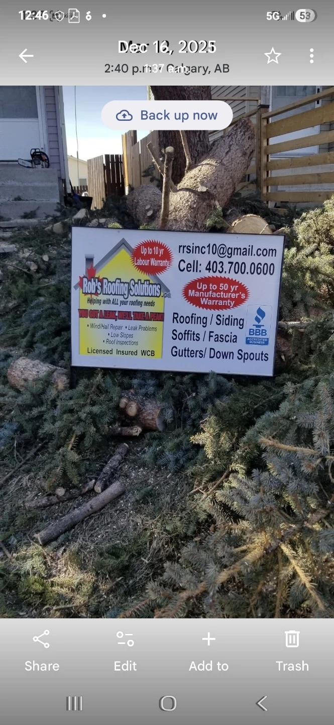 Sump grinding tree removal service