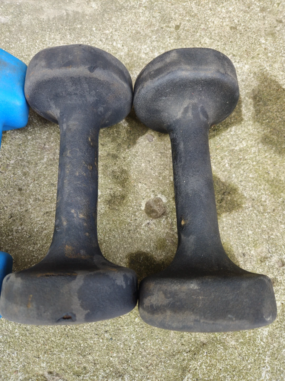 GoZone Dumbbells (2x 8lb, 2x 10lb)