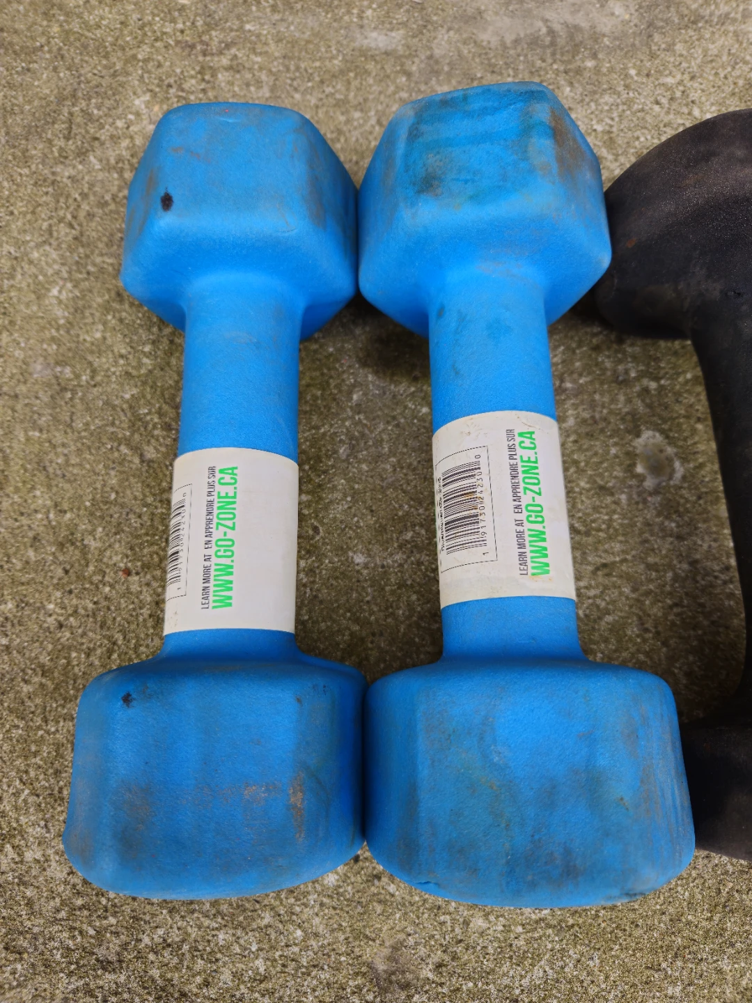 GoZone Dumbbells (2x 8lb, 2x 10lb) - photo 2