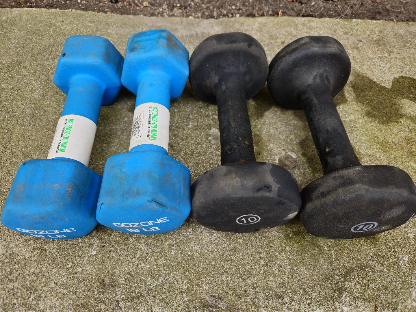 GoZone Dumbbells (2x 8lb, 2x 10lb) - photo 3