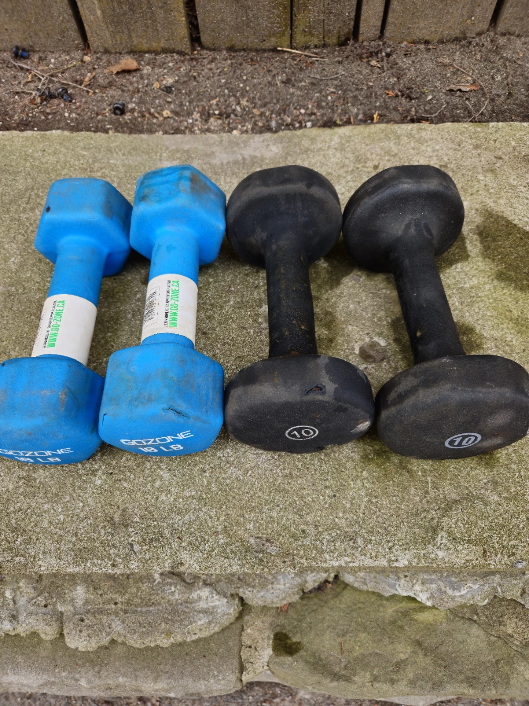GoZone Dumbbells (2x 8lb, 2x 10lb) - photo 4